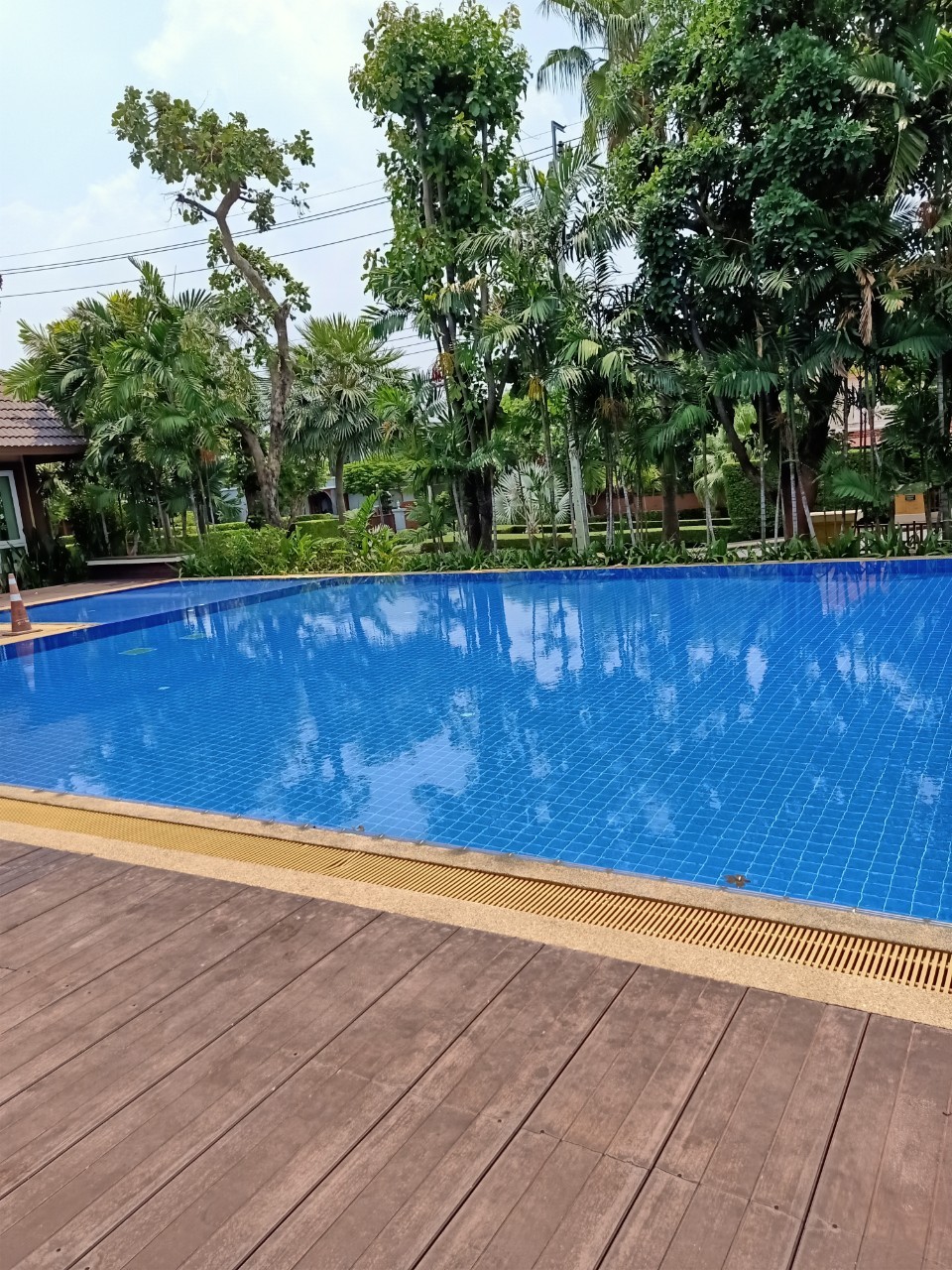 บริษัท เอนเนอร์ยี่ คอมเพลกซ์ จำกัด (ปตท.)